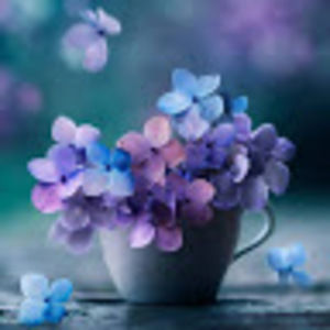 Meet your Posher, Candice